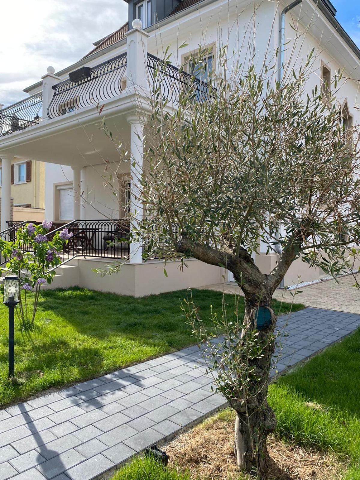Primera Villa Singen Dış mekan fotoğraf